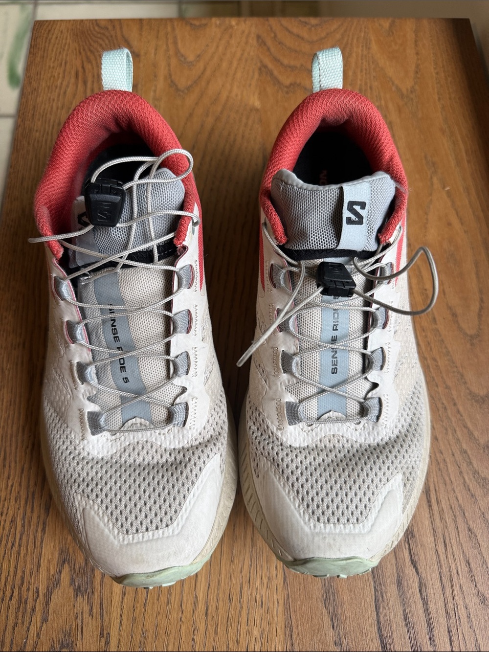 Salomon Sense Ride 5 shoe